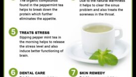 ارتشف وهدئ: اكتشاف التأثيرات المهدئة لشاي النعناع