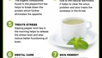 ارتشف وهدئ: اكتشاف التأثيرات المهدئة لشاي النعناع