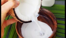 رشفة وشارك: خلق تجارب حليب جوز الهند مع الأصدقاء