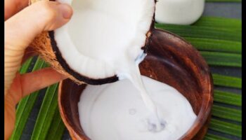 رشفة وشارك: خلق تجارب حليب جوز الهند مع الأصدقاء