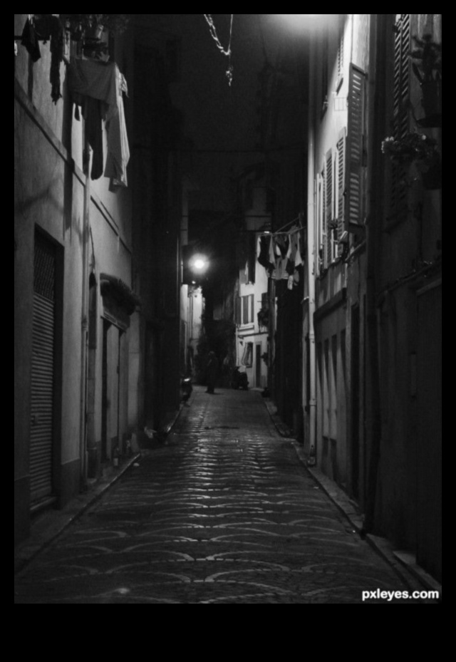 Nighttime Noir: لمحة عن الجانب الغامض والمظلل للتصوير الحضري 5 Nighttime Noir: الغموض والظلال في التصوير الحضري