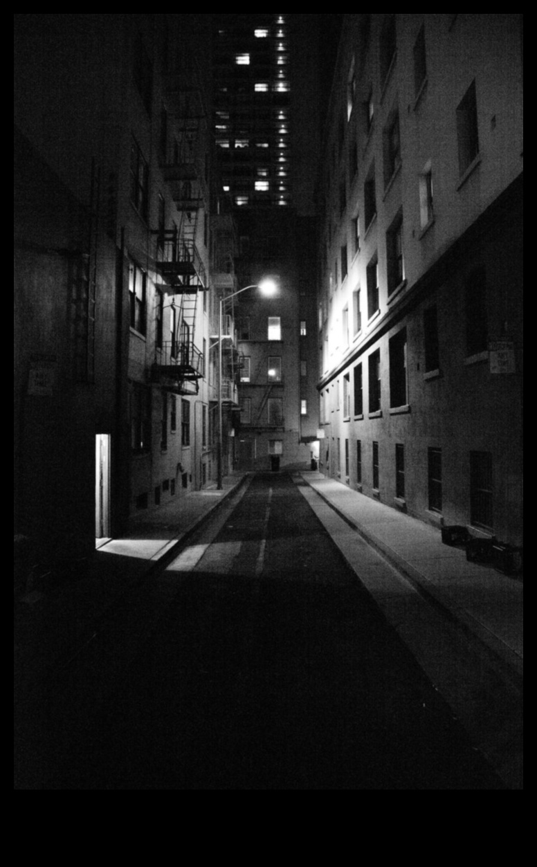 Nighttime Noir: لمحة عن الجانب الغامض والمظلل للتصوير الحضري 3 Nighttime Noir: الغموض والظلال في التصوير الحضري