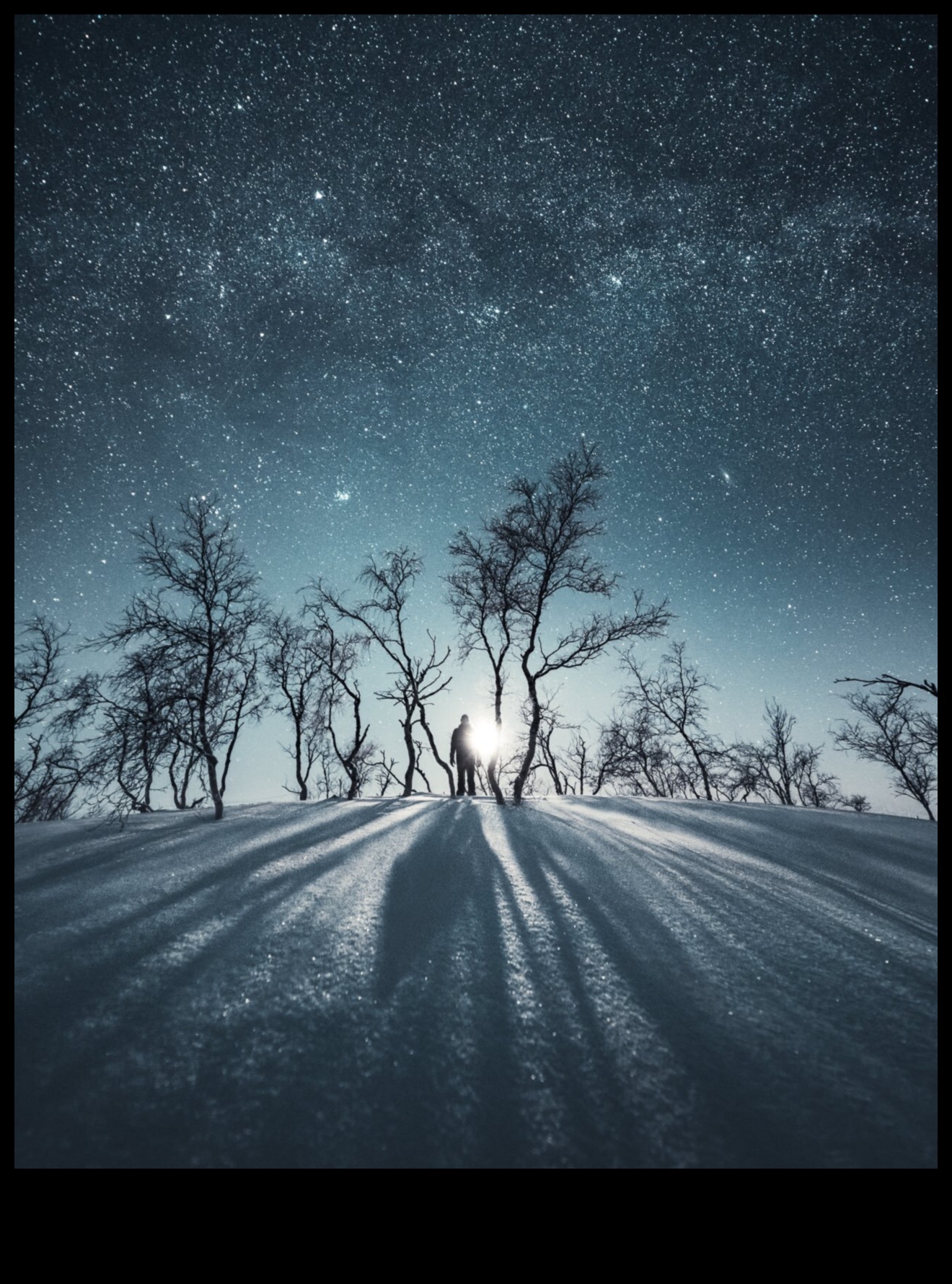 أطلق العنان لقدراتك الإبداعية من خلال التعليم الشامل للتصوير الفوتوغرافي من Shutter Savvy 4 Shutter Savvy: إطلاق العنان للإبداع من خلال تعليم التصوير الفوتوغرافي الشامل