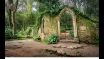 الحدائق القوطية: موضوعات الطبيعة في التعبير الفني في العصور الوسطى