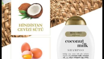 تغذي وتنغمس: استكشاف العالم الغني لخير حليب جوز الهند