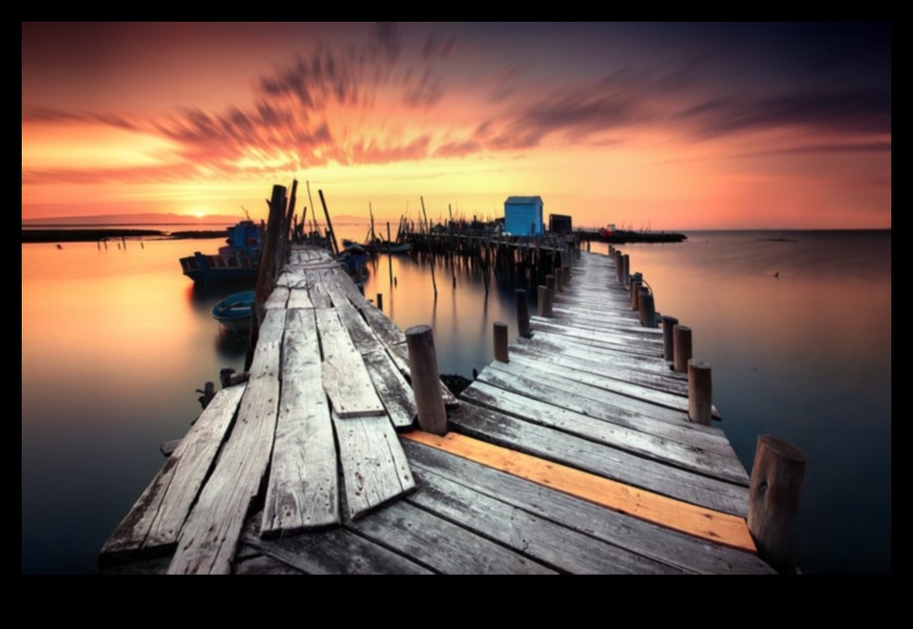 نجاح اللقطة: نصائح أساسية لالتقاط الصور الجذابة