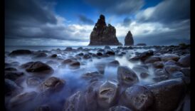 نجاح اللقطة: نصائح أساسية لالتقاط الصور الجذابة