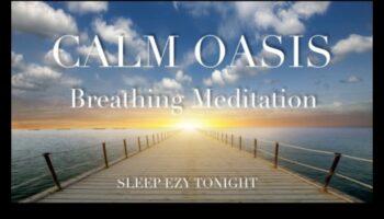 واحة هادئة: إطلاق العنان للحد من التوتر من خلال التأمل اليومي