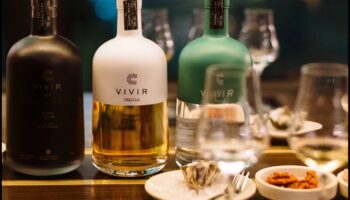 وقت التكيلا: غرس المشروبات الروحية المكسيكية في طبخك